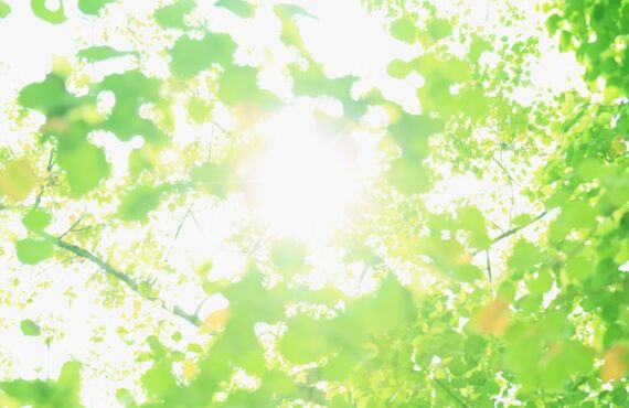 人生100年　健康寿命を延ばしましょう